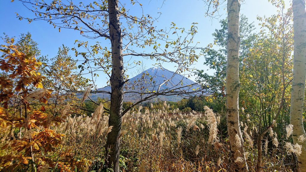 Odin Hills
